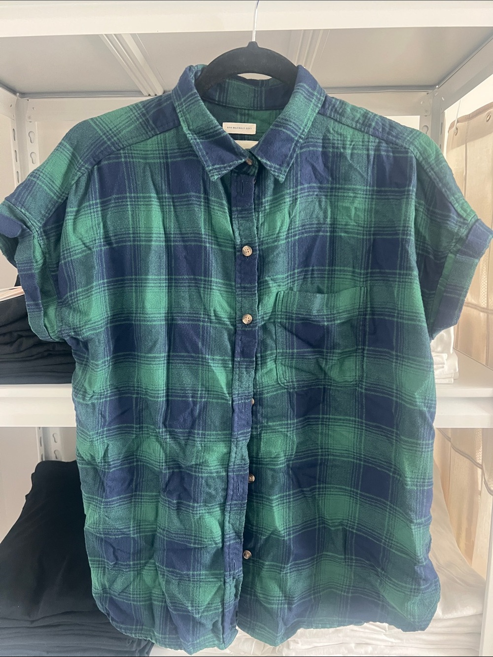 American Eagle Outfitters Blue and Green Plaid Button-Up Shirt